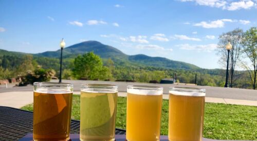 Beer flight with mountain view